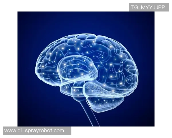 加莱诺的艺术世界探索与创作灵感的深度解析与思考