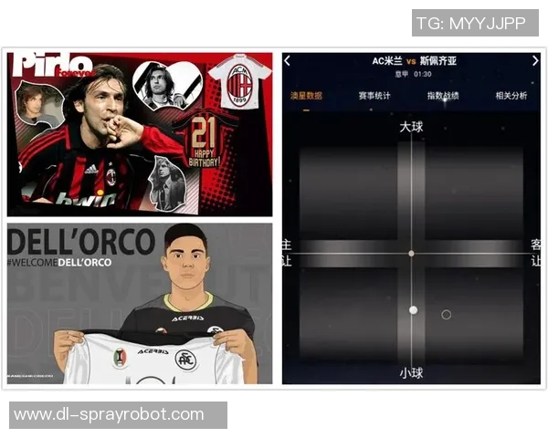 巴西与荷兰比赛前瞻分析及伤停情况详解