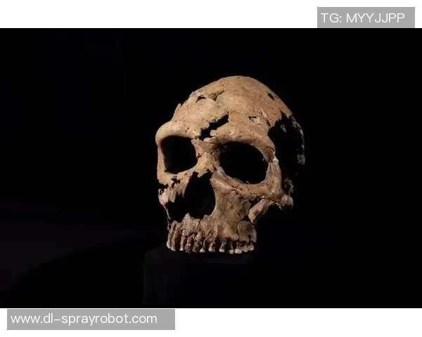 探索弗格的魅力与影响力揭示其在当代文化中的独特地位与价值