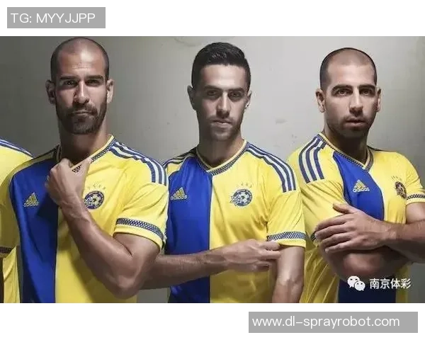 斯海杜克对阵埃弗顿赛事分析与推荐策略分享