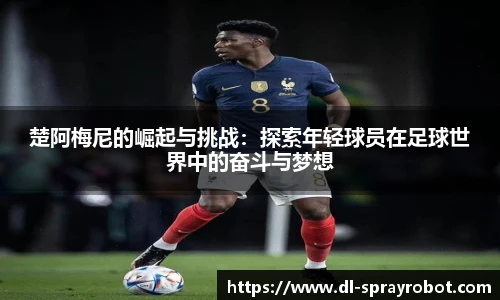 HB火博官方网址